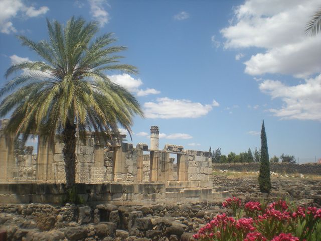 Synagogue de Capharnaüm