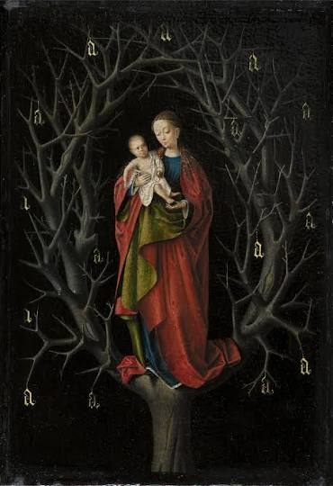 Tota pulchra es Maria