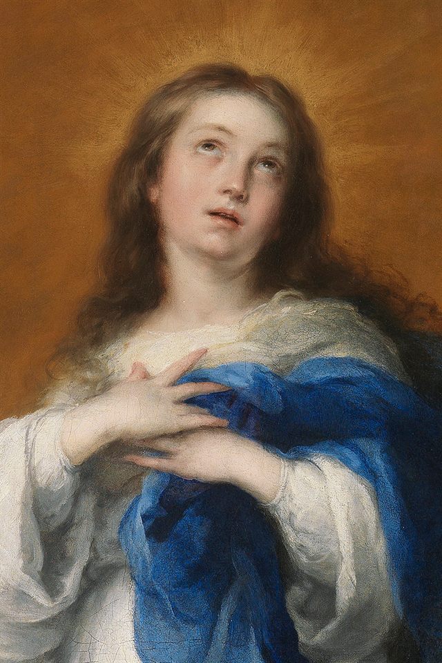 Tota pulchra es Maria