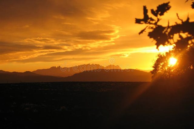 Coucher de soleil doré